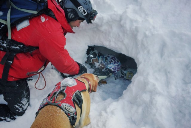 Canine Team Members Training