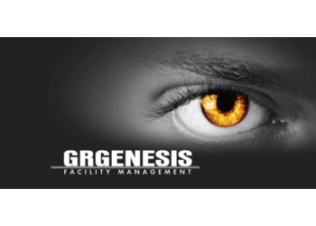 GrGenesis