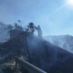Εξακολουθούν να συνδράμουν στο Αλεποχώρι οι εθελοντές της ΕΠ.ΟΜ.Ε.Α. Εξακολουθούν να συνδράμουν στο Αλεποχώρι οι εθελοντές της ΕΠ.ΟΜ.Ε.Α.