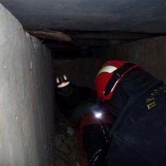 Εκπαίδευση 5ης σειράς Εκπαίδευση 5ης σειράς