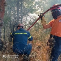 Δελτίο τύπου: Πυρκαγιά στο Αλεποχώρι