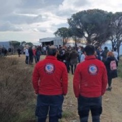 Υλοποίηση προγράμματος αναδάσωσης στην Πεντέλη Υλοποίηση προγράμματος αναδάσωσης στην Πεντέλη