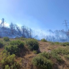 Πυρκαγιά στο Κατσιμίδι  Πυρκαγιά στο Κατσιμίδι