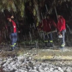 Περιπολίες από τη βραδινή βάρδια εθελοντών   Περιπολίες από τη βραδινή βάρδια εθελοντών