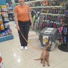 Η PetCity στο πλευρό των τετράποδων μελών της ΕΠ.ΟΜ.Ε.Α. Η PetCity στο πλευρό των τετράποδων μελών της ΕΠ.ΟΜ.Ε.Α.